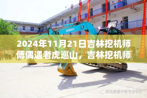 吉林挖機(jī)師傅偶遇老虎巡山，人與自然的意外相遇