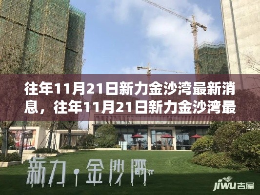 往年11月21日新力金沙灣最新消息綜述，最新動(dòng)態(tài)一覽無余