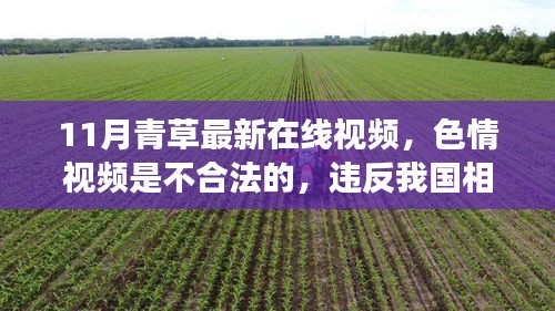 警惕色情風(fēng)險(xiǎn)，遠(yuǎn)離非法內(nèi)容，拒絕11月青草最新在線視頻