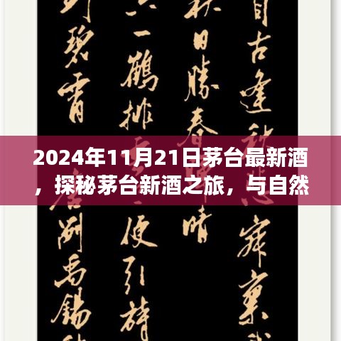 2024年11月21日茅臺(tái)最新酒，探秘茅臺(tái)新酒之旅，與自然美景共舞的日子