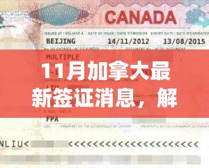 解讀最新加拿大簽證政策動(dòng)向，多元觀點(diǎn)下的11月簽證消息分析