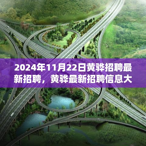 黃驊最新招聘信息揭秘，求職者的福音，2024年11月22日