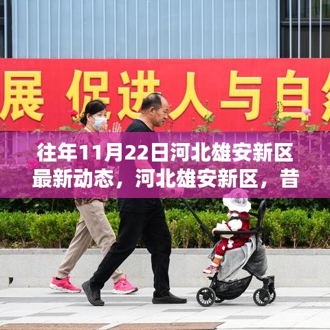 河北雄安新區歷年11月22日最新動態，昔日藍圖成現實進展探析