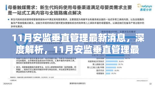 深度解析，11月安監(jiān)垂直管理最新消息，特性、體驗(yàn)與競(jìng)品對(duì)比全面解讀