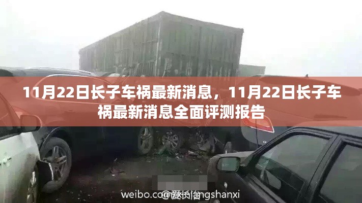 11月22日長子車禍最新消息全面更新與評測報告