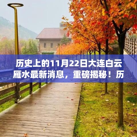 揭秘歷史上的11月22日大連白云雁水最新動態與消息重磅