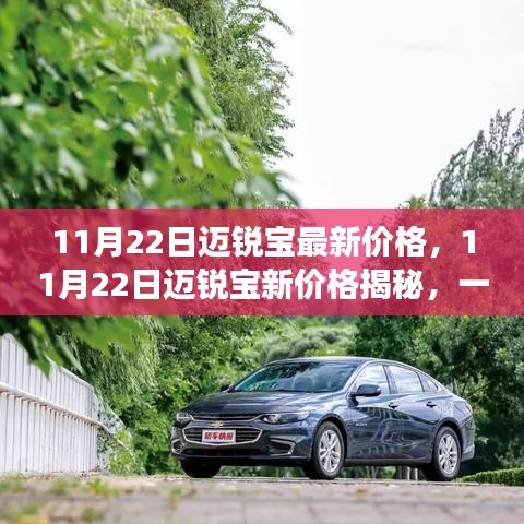 11月22日邁銳寶新價格揭秘，自然美景下的心靈之旅