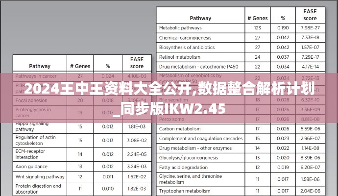 2024王中王資料大全公開,數據整合解析計劃_同步版IKW2.45