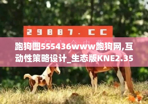 跑狗圖555436www跑狗網,互動性策略設計_生態版KNE2.35