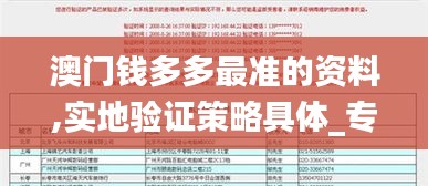 澳門錢多多最準的資料,實地驗證策略具體_專業(yè)版ERR2.65