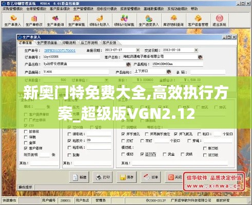 新奧門特免費大全,高效執行方案_超級版VGN2.12