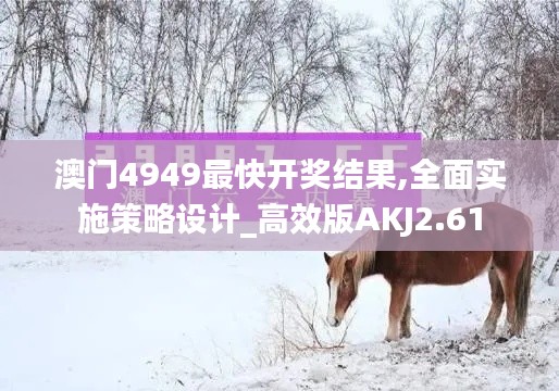 澳門4949最快開獎結(jié)果,全面實施策略設(shè)計_高效版AKJ2.61