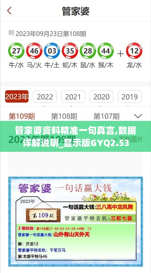 管家婆資料精準一句真言,數據詳解說明_顯示版GYQ2.53