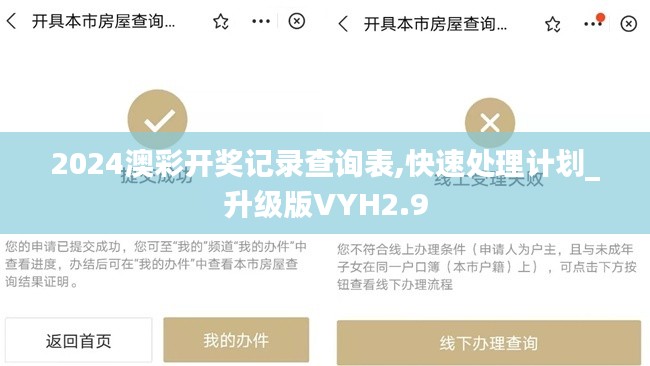 2024澳彩開獎記錄查詢表,快速處理計劃_升級版VYH2.9