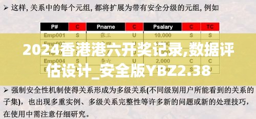 2024香港港六開獎記錄,數據評估設計_安全版YBZ2.38
