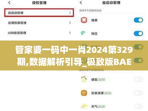管家婆一碼中一肖2024第329期,數(shù)據(jù)解析引導(dǎo)_極致版BAE11.21
