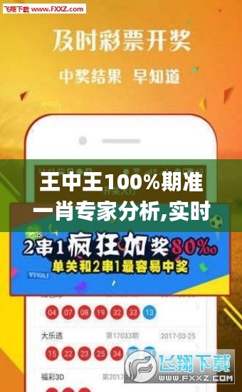 王中王100%期準(zhǔn)一肖專(zhuān)家分析,實(shí)時(shí)處理解答計(jì)劃_體驗(yàn)版FQZ2.81