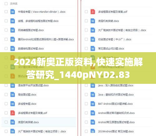 2024新奧正版資料,快速實施解答研究_1440pNYD2.83