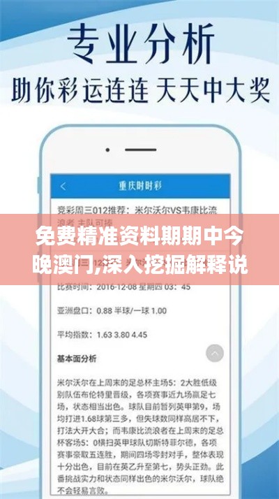 免費精準(zhǔn)資料期期中今晚澳門,深入挖掘解釋說明_私密版VNB2.9