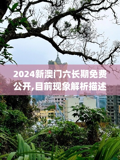 2024新澳門六長(zhǎng)期免費(fèi)公開,目前現(xiàn)象解析描述_增強(qiáng)版BHE2.78