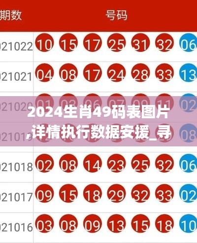 2024生肖49碼表圖片,詳情執行數據安援_尋找版YBX2.99