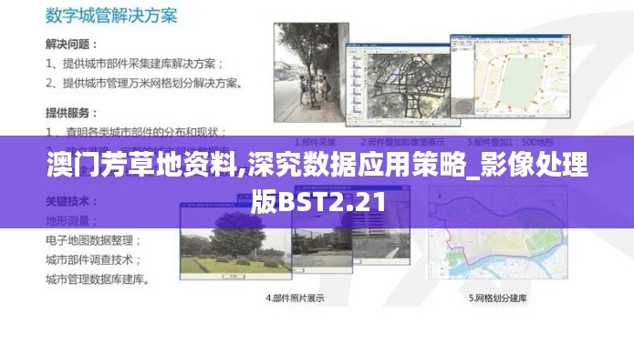 澳門芳草地資料,深究數據應用策略_影像處理版BST2.21