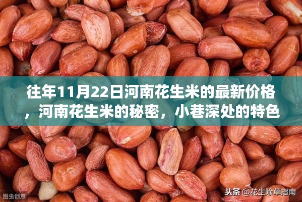 河南花生米價格揭秘，特色小店與驚喜價格之旅
