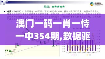 澳門一碼一肖一恃一中354期,數據驅動決策_流線型版TVO2.2