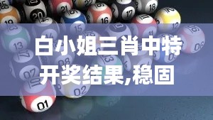 白小姐三肖中特開獎結(jié)果,穩(wěn)固執(zhí)行戰(zhàn)略分析_時尚版JCR2.82