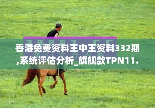 香港免費資料王中王資料332期,系統評估分析_旗艦款TPN11.65