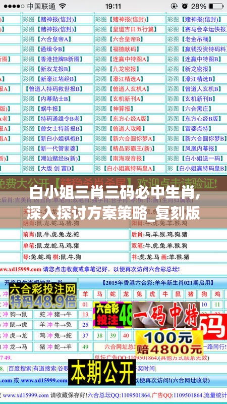白小姐三肖三碼必中生肖,深入探討方案策略_復刻版GPB2.18