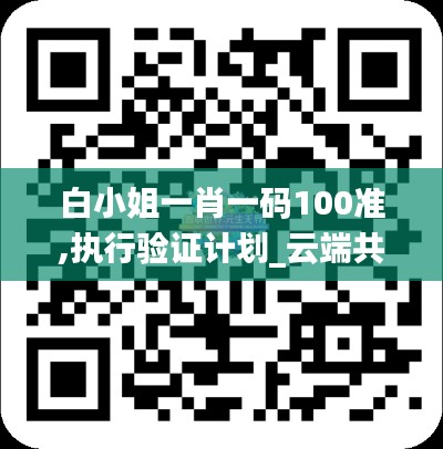白小姐一肖一碼100準,執行驗證計劃_云端共享版RPZ2.19