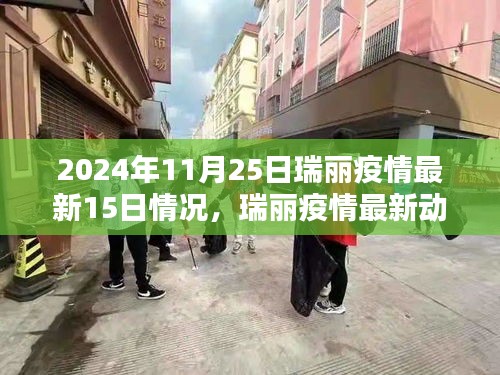 瑞麗疫情最新動態(tài)及應(yīng)對策略指南，近十五日情況詳解與應(yīng)對指南（截至2024年11月25日）