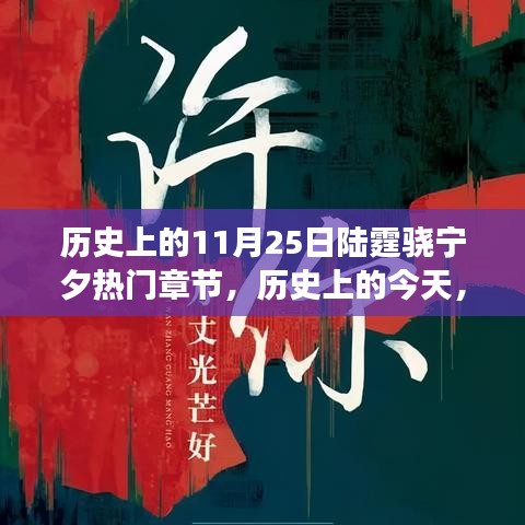 歷史上的11月25日陸霆驍寧夕熱門章節，歷史上的今天，陸霆驍與寧夕的逆襲章節——學習改變命運，自信鑄就輝煌