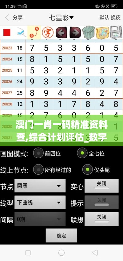 澳門一肖一碼精準(zhǔn)資料查,綜合計劃評估_數(shù)字版UEU9.10