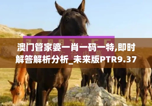 澳門管家婆一肖一碼一特,即時解答解析分析_未來版PTR9.37