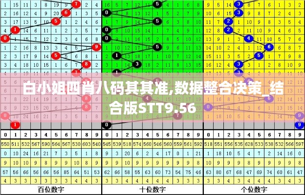 白小姐四肖八碼其其準,數據整合決策_結合版STT9.56