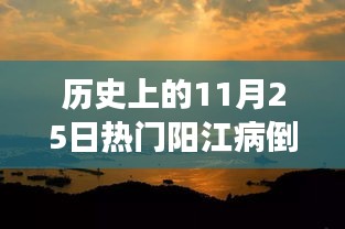 歷史上的11月25日陽(yáng)江病倒事件，深度探討與啟示
