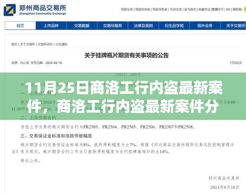 商洛工行內(nèi)部盜竊案最新進(jìn)展及分析，聚焦某某觀點(diǎn)