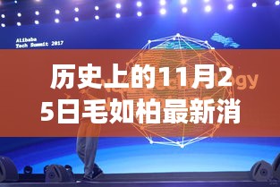 歷史上的11月25日揭秘毛如柏科技傳奇，最新科技成果震撼曝光