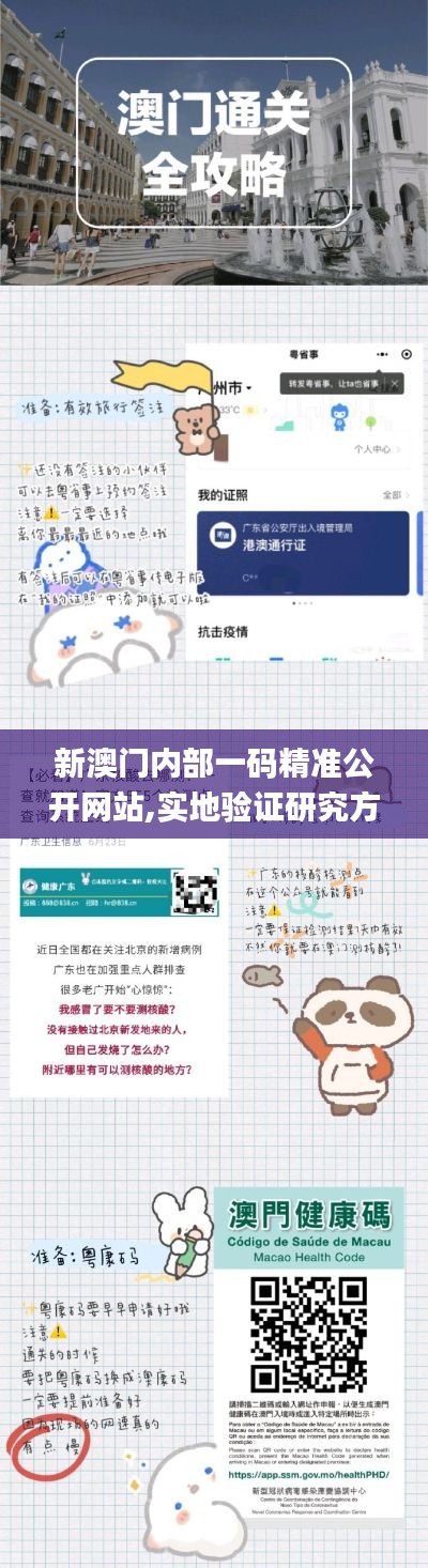 新澳門內部一碼精準公開網站,實地驗證研究方案_便攜版SXO9.41