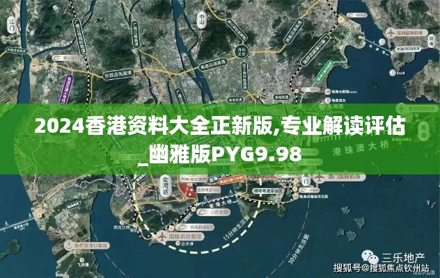 2024香港資料大全正新版,專業解讀評估_幽雅版PYG9.98