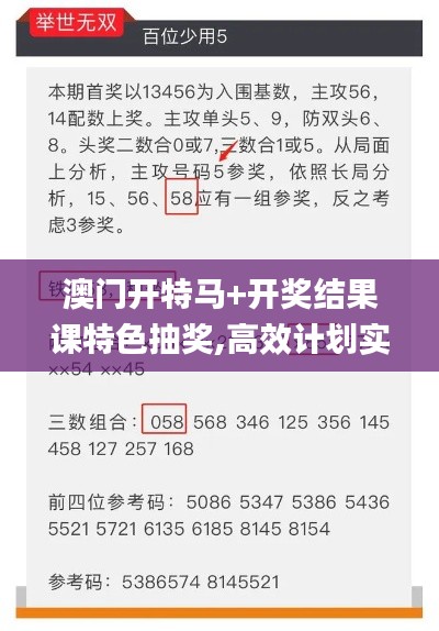 澳門開特馬+開獎結果課特色抽獎,高效計劃實施_豪華款QTQ9.86