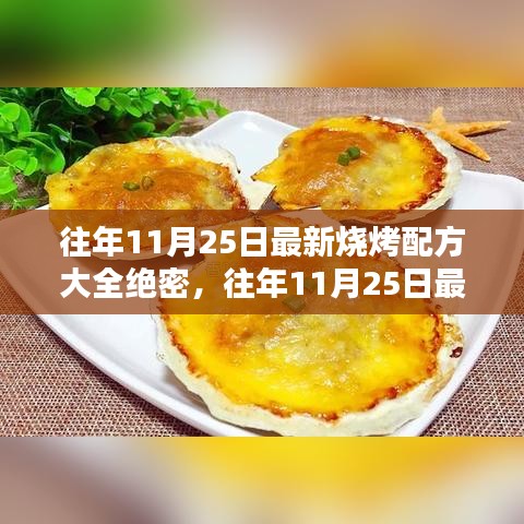 往年11月25日最新燒烤配方大全揭秘，專業評測與深度介紹