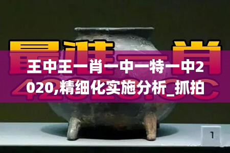 王中王一肖一中一特一中2020,精細化實施分析_抓拍版XGH9.75