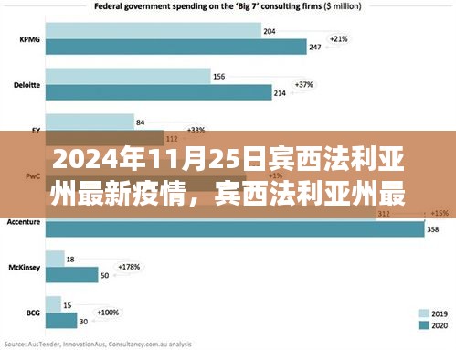 賓西法利亞州最新疫情動態及應對指南，2024年11月25日的防護與應對步驟