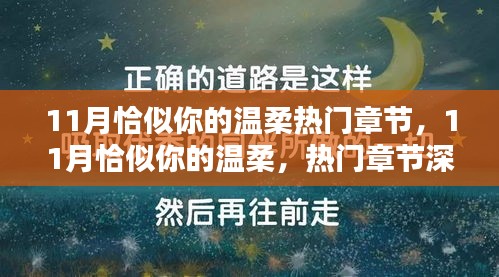 11月恰似你的溫柔熱門章節(jié)深度解析與賞析