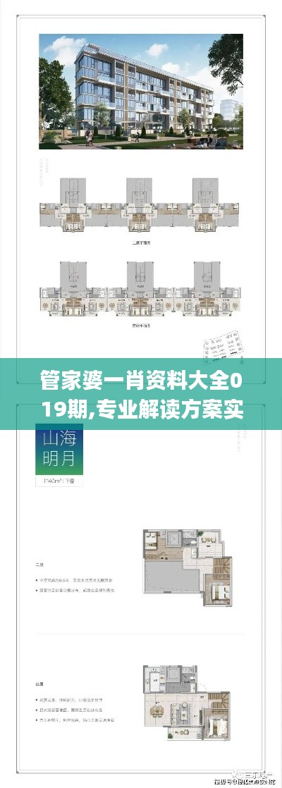 管家婆一肖資料大全019期,專業解讀方案實施_VR版ZCY7.29