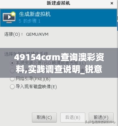 49154cσm查詢澳彩資料,實踐調查說明_銳意版IVY7.35