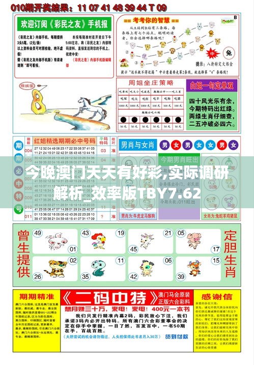 今晚澳門天天有好彩,實際調研解析_效率版TBY7.62